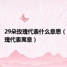 29朵玫瑰代表什么意思(29朵玫瑰代表寓意)