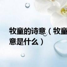 牧童的诗意（牧童的诗意是什么）
