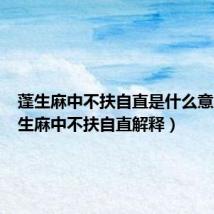 蓬生麻中不扶自直是什么意思（蓬生麻中不扶自直解释）