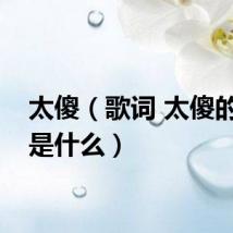 太傻(歌词 太傻的歌词是什么)