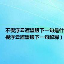 不畏浮云遮望眼下一句是什么(不畏浮云遮望眼下一句解释)