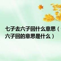 七子去六子回什么意思(七子去六子回的意思是什么)