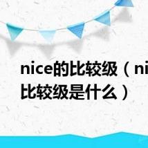 nice的比较级(nice的比较级是什么)
