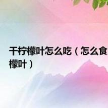 干柠檬叶怎么吃（怎么食用干柠檬叶）
