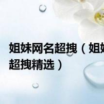 姐妹网名超拽（姐妹网名超拽精选）