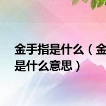金手指是什么（金手指是什么意思）