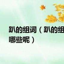 趴的组词（趴的组词有哪些呢）