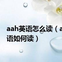 aah英语怎么读(aah英语如何读)