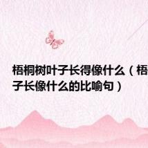 梧桐树叶子长得像什么（梧桐树叶子长像什么的比喻句）