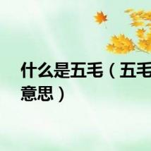 什么是五毛（五毛什么意思）