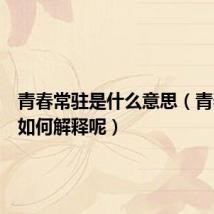 青春常驻是什么意思（青春常驻如何解释呢）