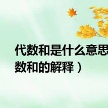 代数和是什么意思（代数和的解释）