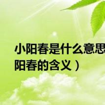 小阳春是什么意思（小阳春的含义）
