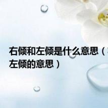 右倾和左倾是什么意思（右倾和左倾的意思）