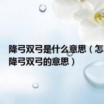 降弓双弓是什么意思（怎么理解降弓双弓的意思）