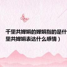 千里共婵娟的婵娟指的是什么（千里共婵娟表达什么感情）
