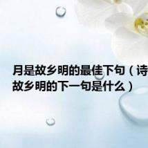 月是故乡明的最佳下句（诗句月是故乡明的下一句是什么）
