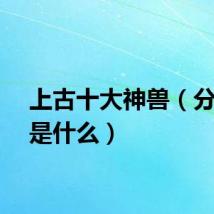 上古十大神兽（分别都是什么）