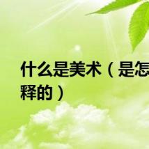 什么是美术（是怎么解释的）