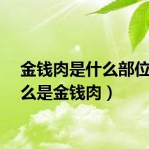 金钱肉是什么部位（什么是金钱肉）