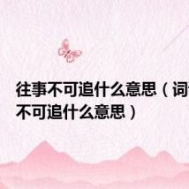 往事不可追什么意思（词语往事不可追什么意思）