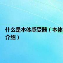 什么是本体感受器(本体感受器介绍)