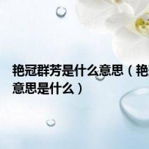 艳冠群芳是什么意思(艳冠群芳意思是什么)