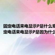 固定电话来电显示P是什么意思（固定电话来电显示P是因为什么）