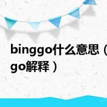 binggo什么意思（binggo解释）