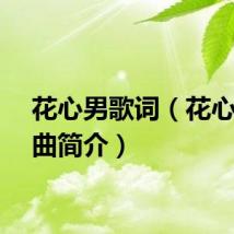花心男歌词(花心男歌曲简介)