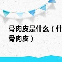 骨肉皮是什么（什么是骨肉皮）