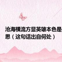 沧海横流方显英雄本色是什么意思（这句话出自何处）