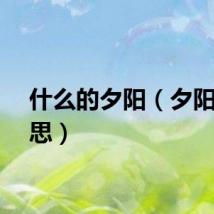 什么的夕阳（夕阳的意思）
