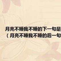 月亮不睡我不睡的下一句是什么呢(月亮不睡我不睡的后一句)