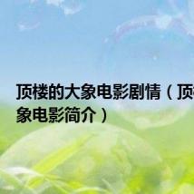 顶楼的大象电影剧情(顶楼的大象电影简介)