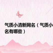 气质小清新网名(气质小清新网名有哪些)