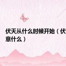 伏天从什么时候开始（伏天要注意什么）