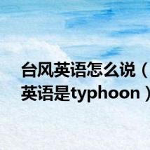 台风英语怎么说(台风英语是typhoon)