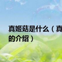 真姬菇是什么（真姬菇的介绍）
