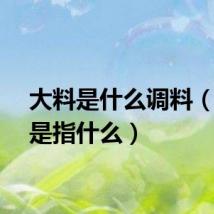 大料是什么调料（大料是指什么）