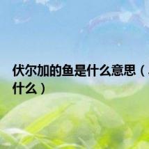 伏尔加的鱼是什么意思（具体指什么）