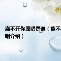离不开你原唱是谁（离不开你原唱介绍）