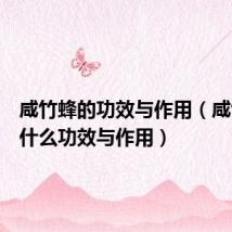咸竹蜂的功效与作用(咸竹蜂有什么功效与作用)