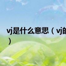 vj是什么意思(vj的解释)