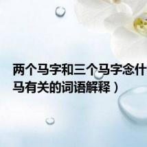 两个马字和三个马字念什么（与马有关的词语解释）