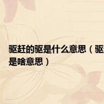 驱赶的驱是什么意思（驱赶的驱是啥意思）