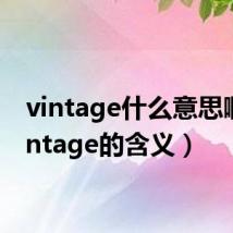 vintage什么意思啊（vintage的含义）