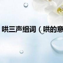 哄三声组词（哄的意思）