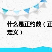 什么是正约数（正约数定义）