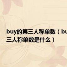 buy的第三人称单数（buy的第三人称单数是什么）